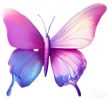 a stylised butterfly vector image in pink, purple, and blue.